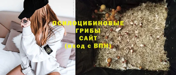 гашик Абинск